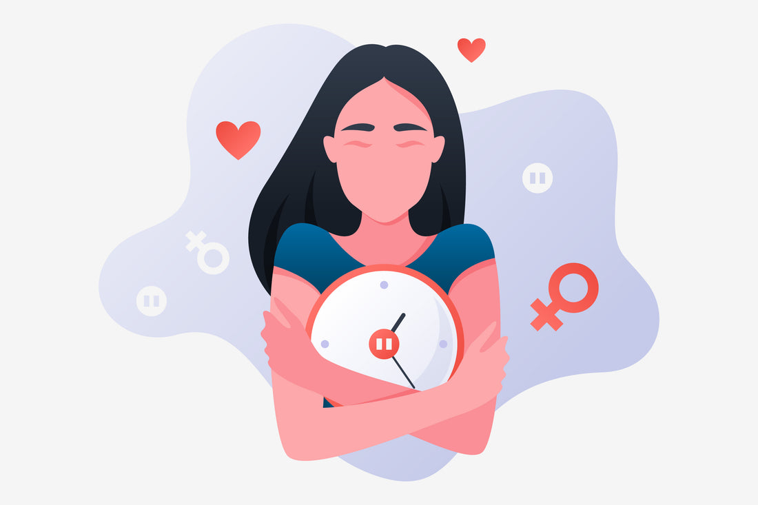 Female Reproductive System 